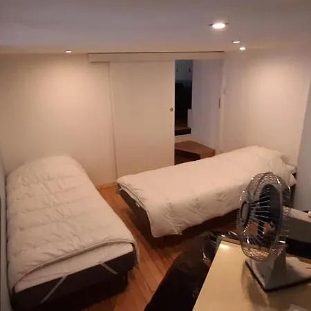 Apartman Duplex Industriel Au Coeur De Lyon